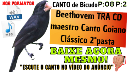 08- Beethovem TRA CD maestro Canto Goiano Clássico 2°pasta
